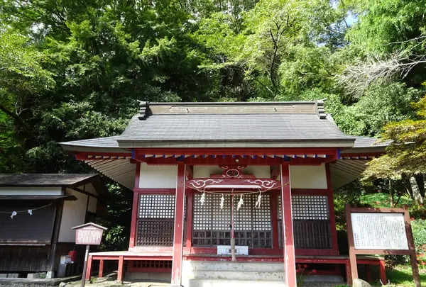 金時公園の写真・動画_image_639302