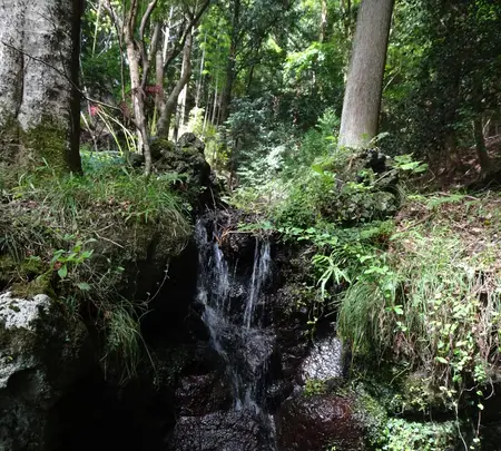 ちょろり七滝の写真・動画_image_639311