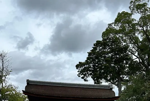 醍醐寺の写真・動画_image_639468