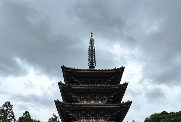 醍醐寺の写真・動画_image_639469