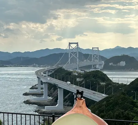 鳴門岬駐車場「うずまちテラス」の写真・動画_image_639938