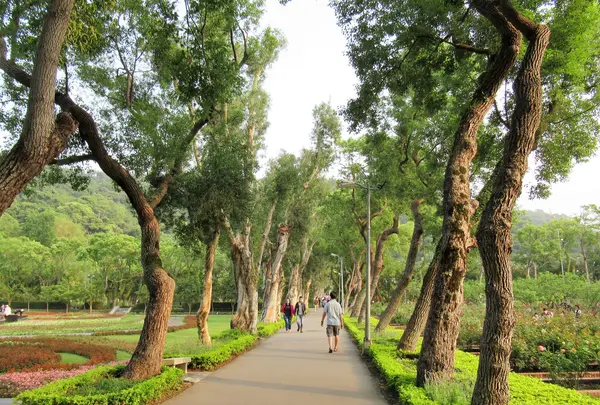 Shilin Residence Parkの写真・動画_image_640611