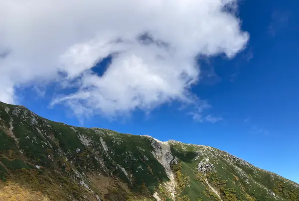 千畳敷カールの写真・動画_image_640985