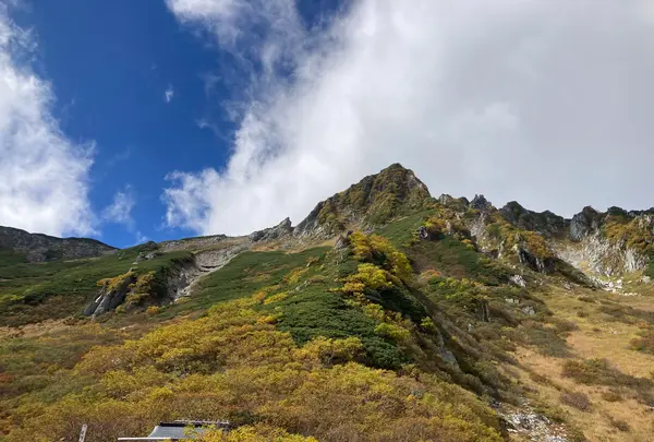 千畳敷カールの写真・動画_image_640988