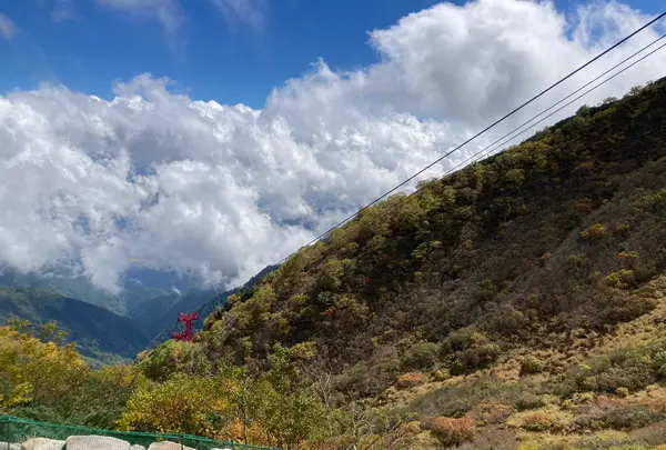 千畳敷カールの写真・動画_image_640990