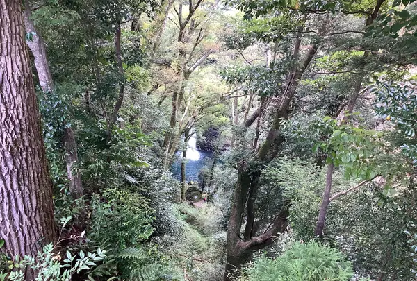 浄蓮の滝の写真・動画_image_642444