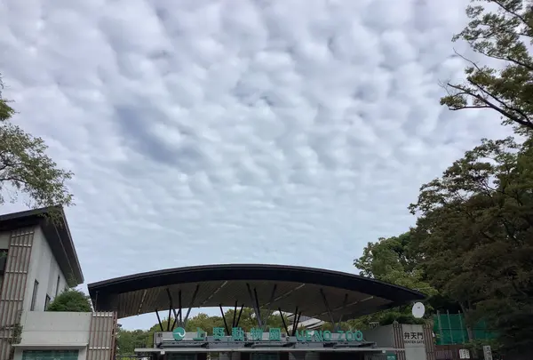上野動物園の写真・動画_image_642773