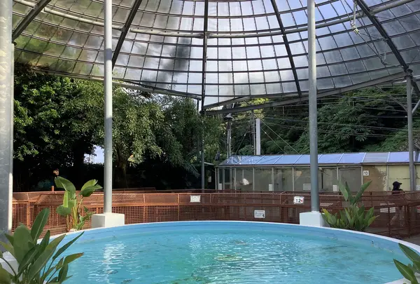 熱川バナナワニ園の写真・動画_image_642896