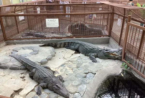 熱川バナナワニ園の写真・動画_image_642902