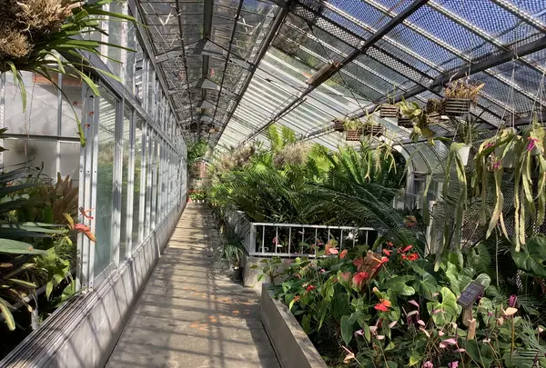 熱川バナナワニ園の写真・動画_image_642904