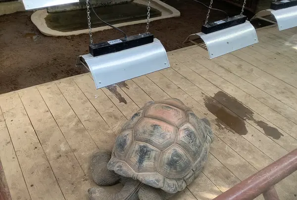 熱川バナナワニ園の写真・動画_image_642906