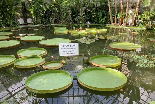 熱川バナナワニ園の写真・動画_image_642907