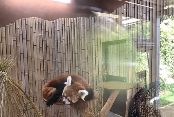 熱川バナナワニ園の写真・動画_image_642908