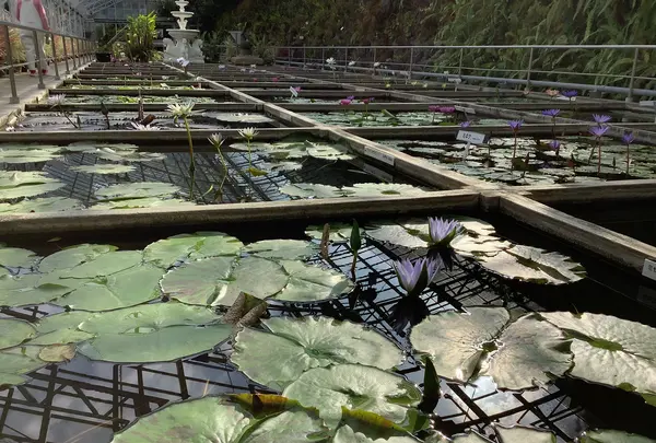熱川バナナワニ園の写真・動画_image_642912