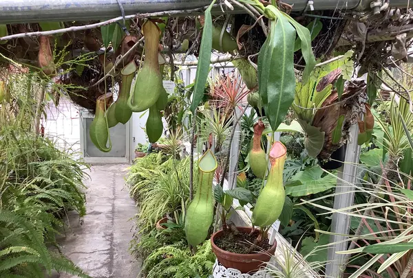 熱川バナナワニ園の写真・動画_image_642914