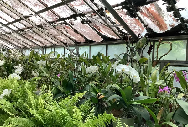 熱川バナナワニ園の写真・動画_image_642915