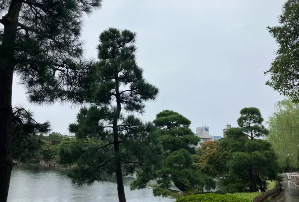 徳川園の写真・動画_image_643030