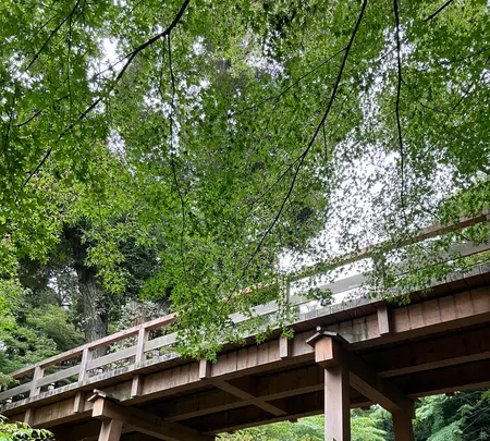 徳川園の写真・動画_image_643032