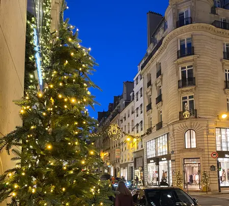 Rue du Faubourg Saint-Honoréの写真・動画_image_644627