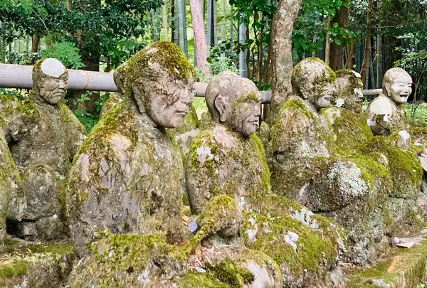 赤山禅院の写真・動画_image_645697