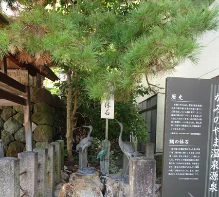 花明りの宿　月の池の写真・動画_image_646316