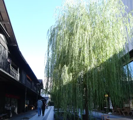水の町屋「七日町御殿堰」の写真・動画_image_646345