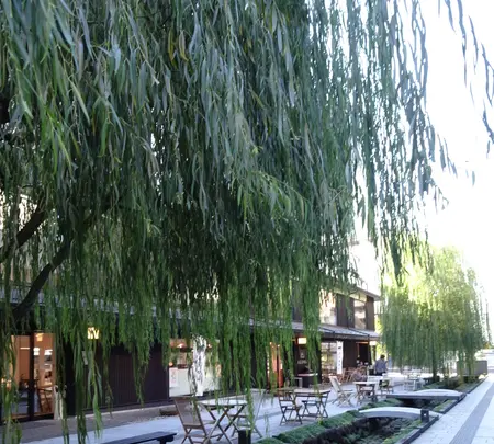 水の町屋「七日町御殿堰」の写真・動画_image_646347