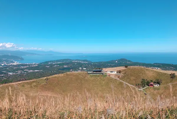 大室山の写真・動画_image_647432