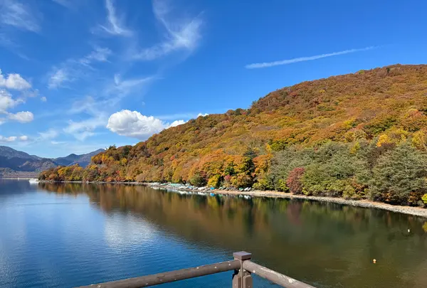中禅寺湖畔ボートハウスの写真・動画_image_647589
