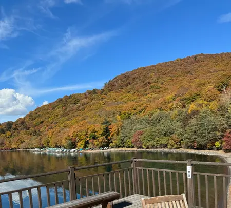 中禅寺湖畔ボートハウスの写真・動画_image_647590