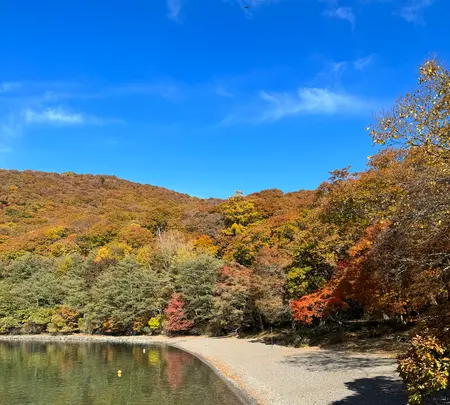 中禅寺湖畔ボートハウスの写真・動画_image_647594