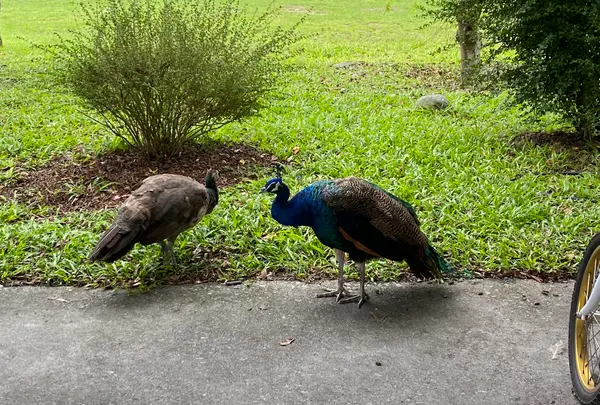 豊之谷自然生態公園の写真・動画_image_648151