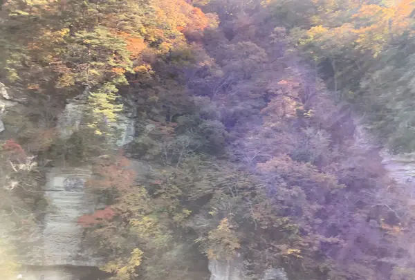 塔のへつりの写真・動画_image_648462