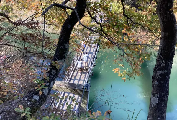 塔のへつりの写真・動画_image_648466