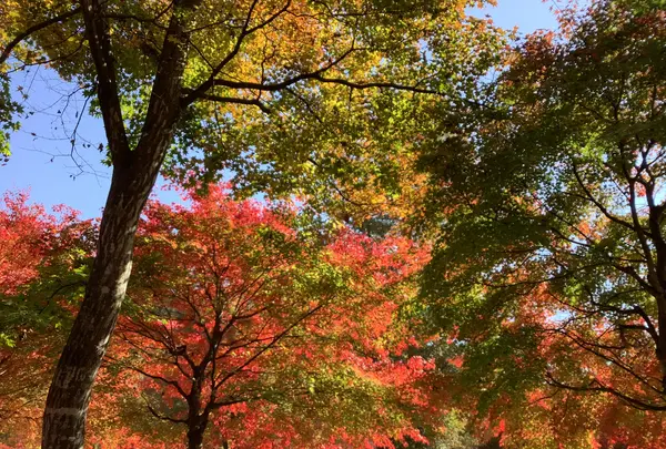 塔のへつりの写真・動画_image_648470