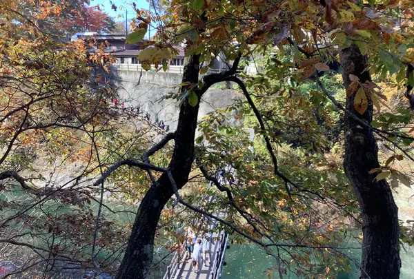 塔のへつりの写真・動画_image_648471