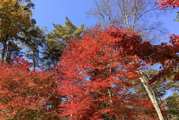 塔のへつりの写真・動画_image_648475