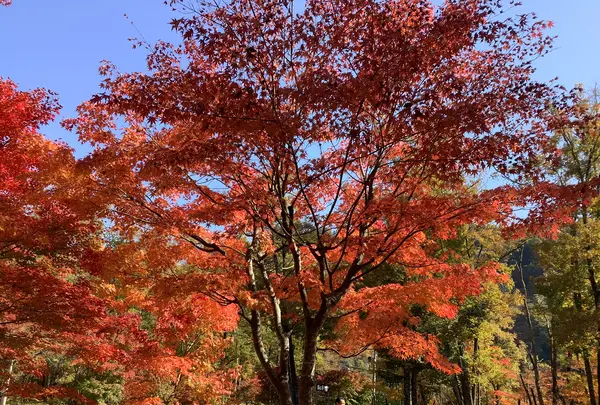 塔のへつりの写真・動画_image_648483
