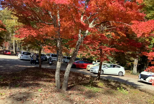 塔のへつりの写真・動画_image_648484