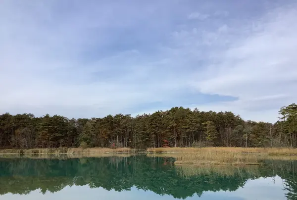 五色沼自然探勝路の写真・動画_image_649028