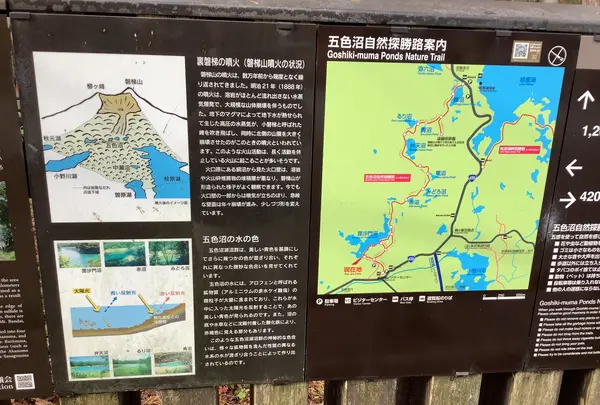 五色沼自然探勝路の写真・動画_image_649029