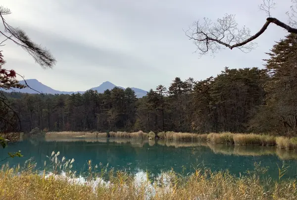 五色沼自然探勝路の写真・動画_image_649031