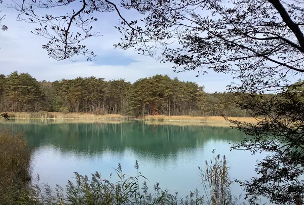 五色沼自然探勝路の写真・動画_image_649033