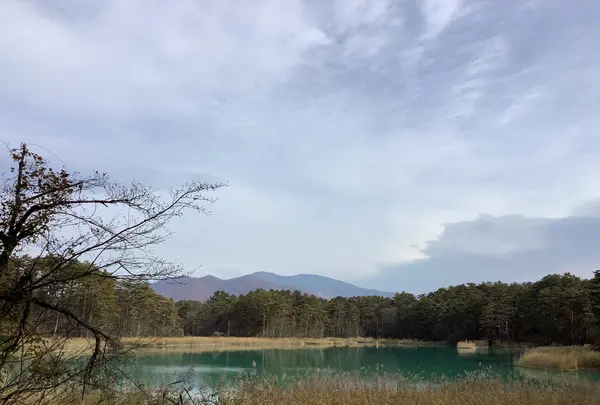 五色沼自然探勝路の写真・動画_image_649043