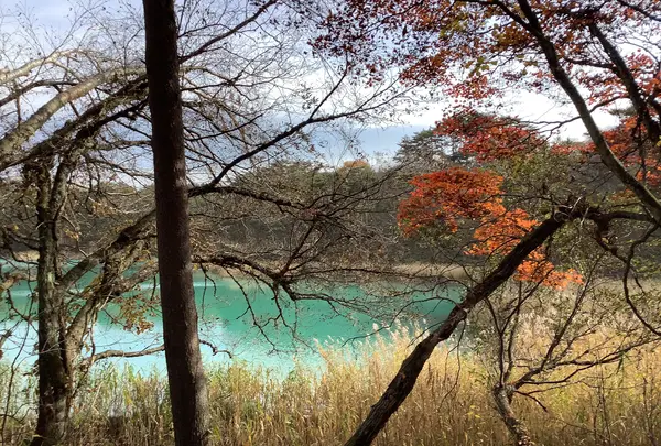 五色沼自然探勝路の写真・動画_image_649055