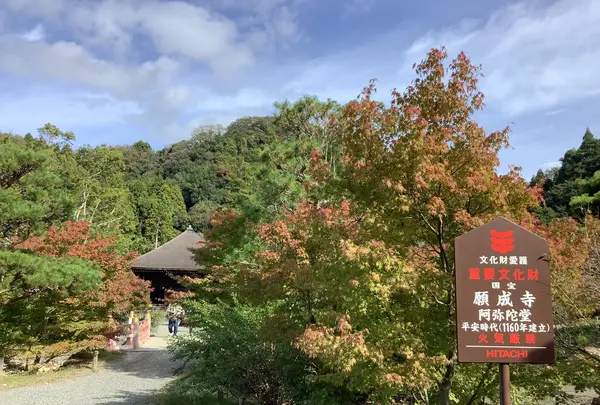 国宝 白水阿弥陀堂の写真・動画_image_649783