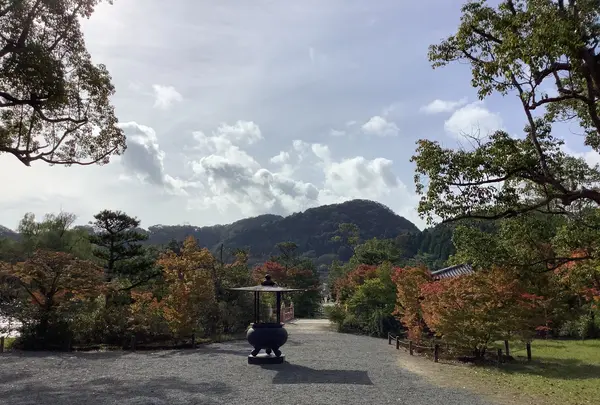 国宝 白水阿弥陀堂の写真・動画_image_649785