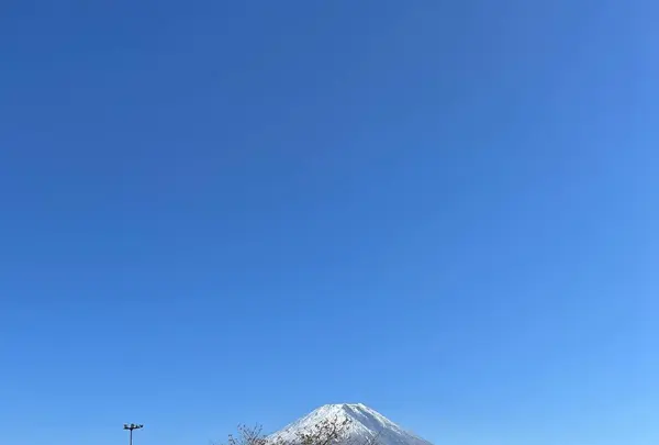 道の駅 朝霧高原の写真・動画_image_650472