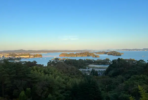 ホテル松島 大観荘の写真・動画_image_650502