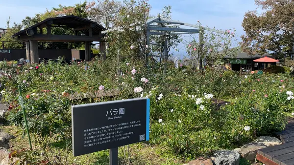 レインボーライン山頂公園の写真・動画_image_652195